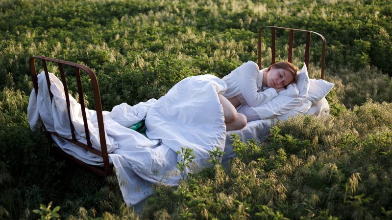 Sognare pesci: il significato nascosto dietro i nostri sogni acquatici
